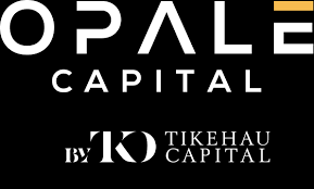 Opale Capital investissements non cotés